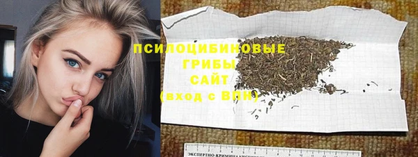 spice Алексеевка