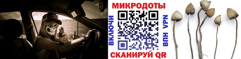 купить наркотик  Алушта  Псилоцибиновые грибы мицелий 